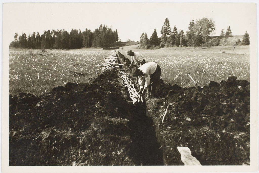 Vardja talu soo torutamine lattidega 1932. Paistu khk, Aidu v