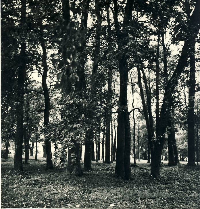 Uhtna park