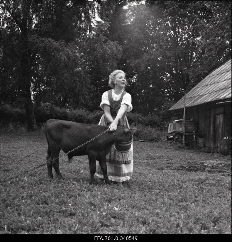 Stuudio "Tallinnfilm" muusikaline lastefilm "Nukitsamees". Ema rollis Ines Aru.