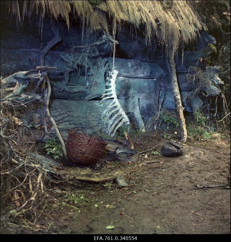 Stuudio "Tallinnfilm" muusikaline lastefilm"Nukitsamees".
Metsaonn.