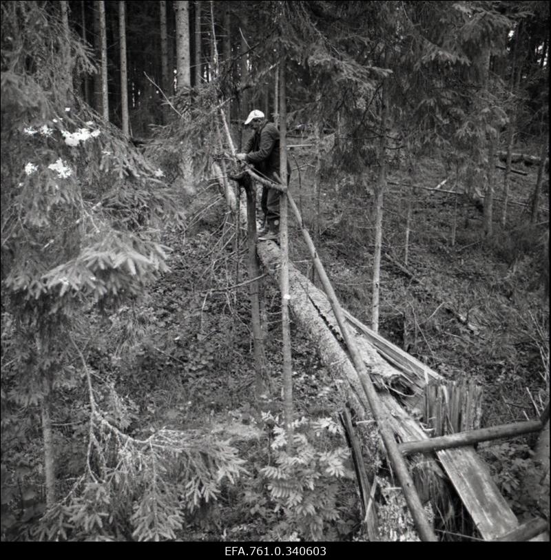 Stuudio "Tallinnfilm" muusikaline lastefilm "Nukitsamees".
Võttekoha ettevalmistamine.