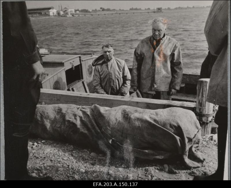 Kaader filmistuudio Tallinnfilm mängufilmist Tütarlaps mustas.