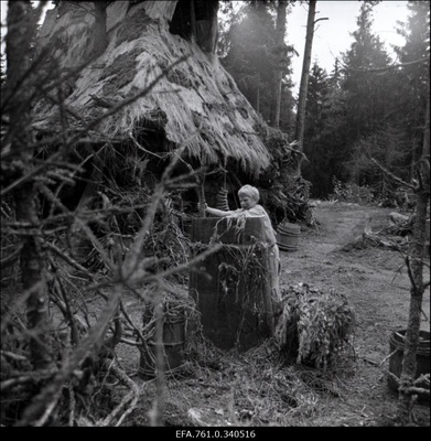 Stuudio "Tallinnfilm" muusikaline lastefilm "Nukitsamees". Ülari Kirsipuu Kusti osas.  duplicate photo