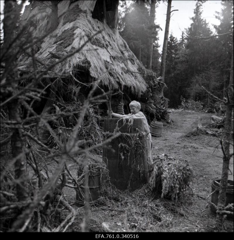 Stuudio "Tallinnfilm" muusikaline lastefilm "Nukitsamees". Ülari Kirsipuu Kusti osas.