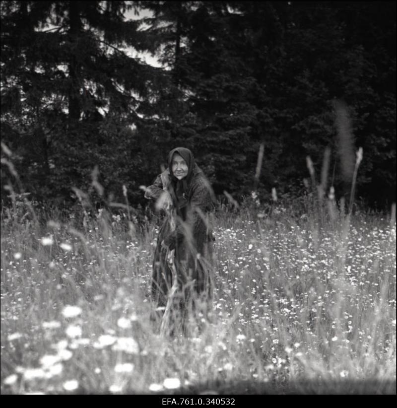 Stuudio "Tallinnfilm" muusikaline lastefilm "Nukitsamees". Metsamoori rollis Ita Ever.