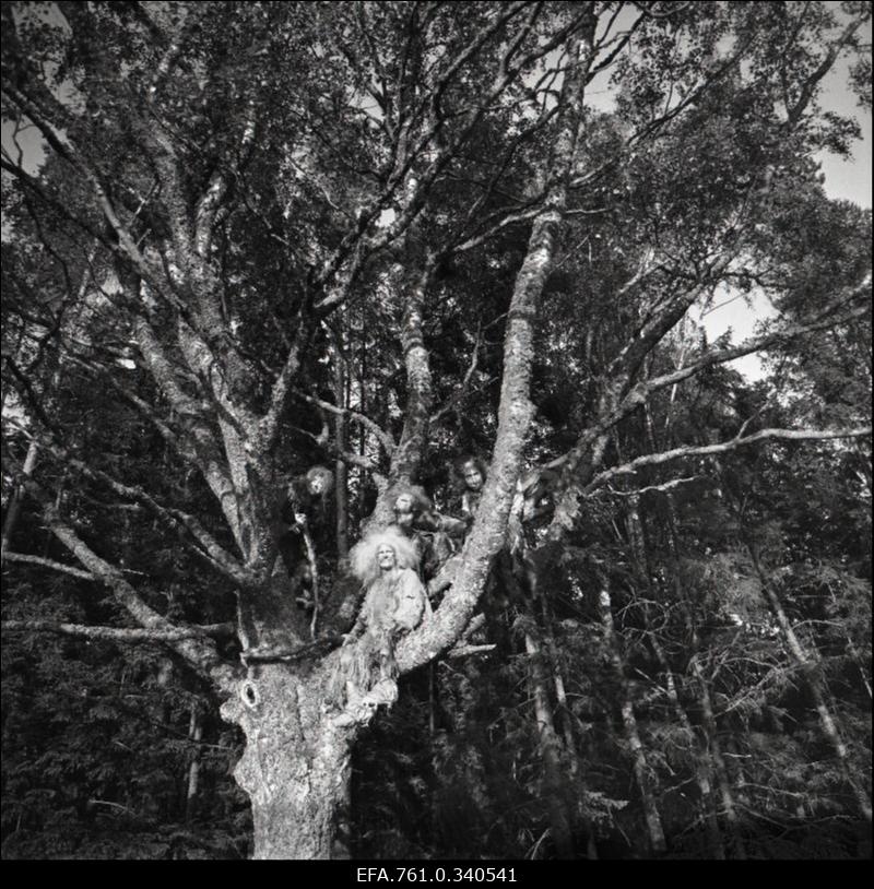 Stuudio "Tallinnfilm" muusikaline lastefilm "Nukitsamees".
Stseen filmist.