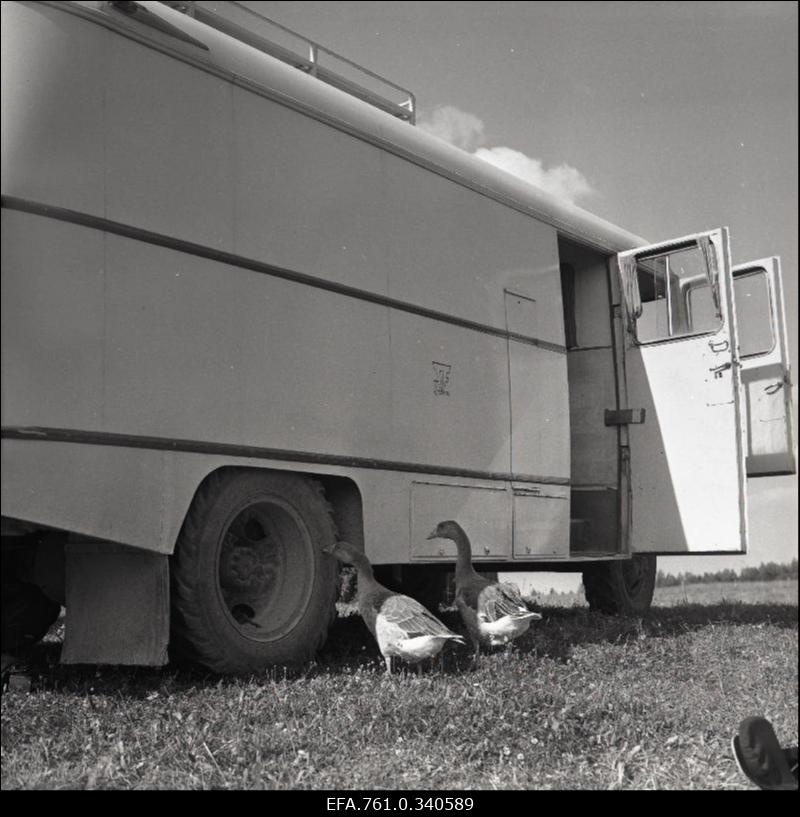 Stuudio "Tallinnfilm" muusikaline lastefilm "Nukitsamees". Filmivõttel.