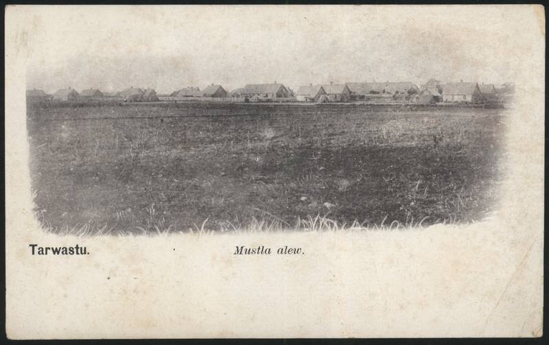 trükipostkaart, Tarvastu khk, Mustla alev, u 1905