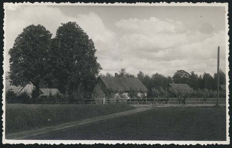fotopostkaart, Tarvastu khk, Mustla alev, u 1935, foto E. Ilves