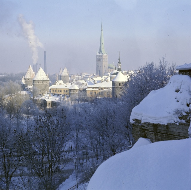 Tallinn. Patkuli vaateplatvorm.