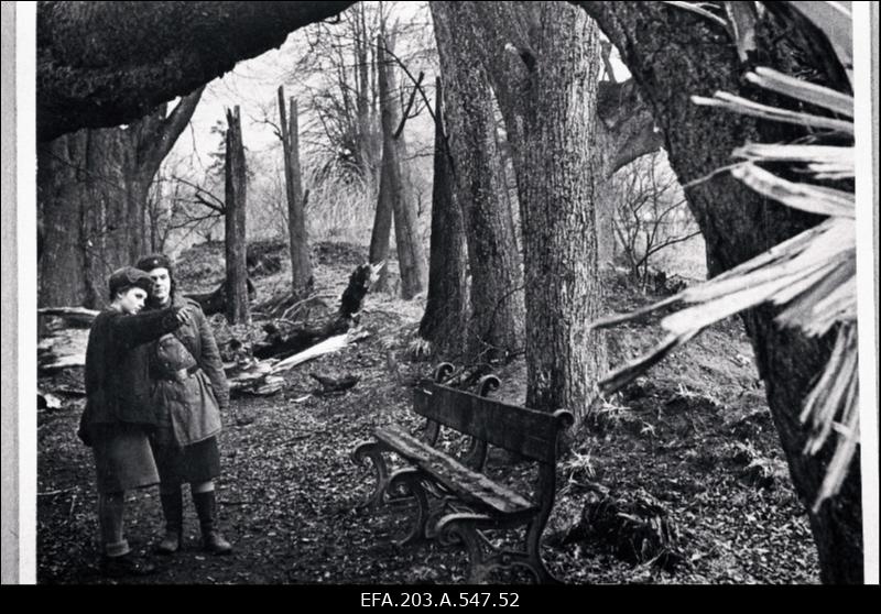 Tallinnfilmi lühimängufilm/tudengifilm "Roosa kübar".