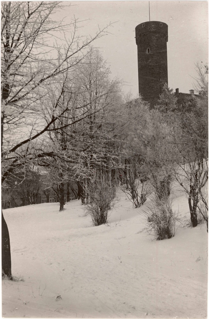 Toompea fortress. View of SW from Swedish bastion to Pika Hermann in winter