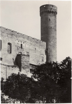 Toompea Castle Tower Long Hermann. View of NW  duplicate photo