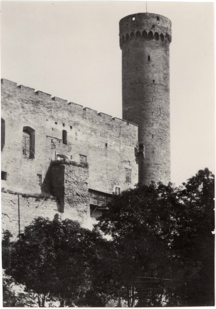 Toompea Castle Tower Long Hermann. View of NW