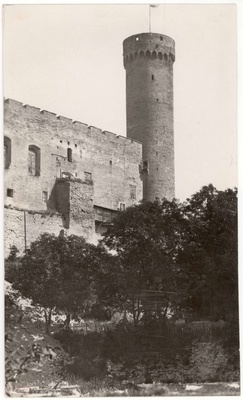 Toompea Castle Tower Long Hermann. View of NW  duplicate photo