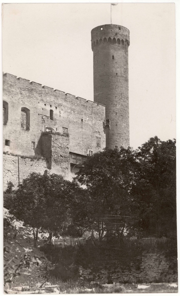 Toompea Castle Tower Long Hermann. View of NW