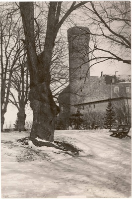 Toompea fortress. View S from Swedish bastion to Pika Hermann in winter  duplicate photo