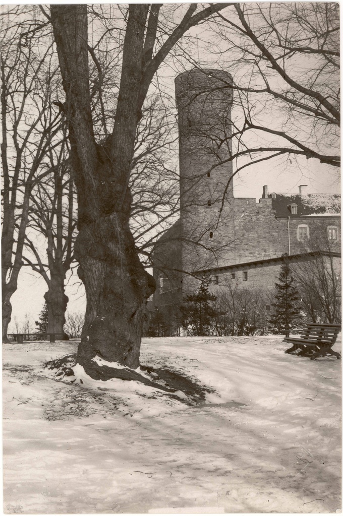Toompea fortress. View S from Swedish bastion to Pika Hermann in winter