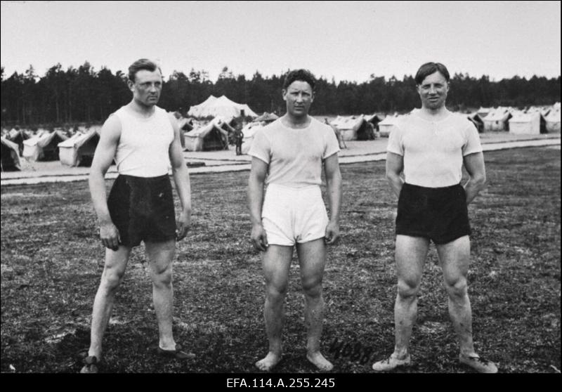 Vabadussõda. Sõjategevus Volmari piirkonnas. Soome vabatahtlikud Eestis. Tallinna garnisoni sõdurite eluolu, spordivõistlused Kalevi spordiväljakul, paraadid, õppused, õppelaagrid. Vabariigi aastapäeva paraadid. Riigikogu istung. Pilte Eesti Sõjamuuseumi eksponaatidest.