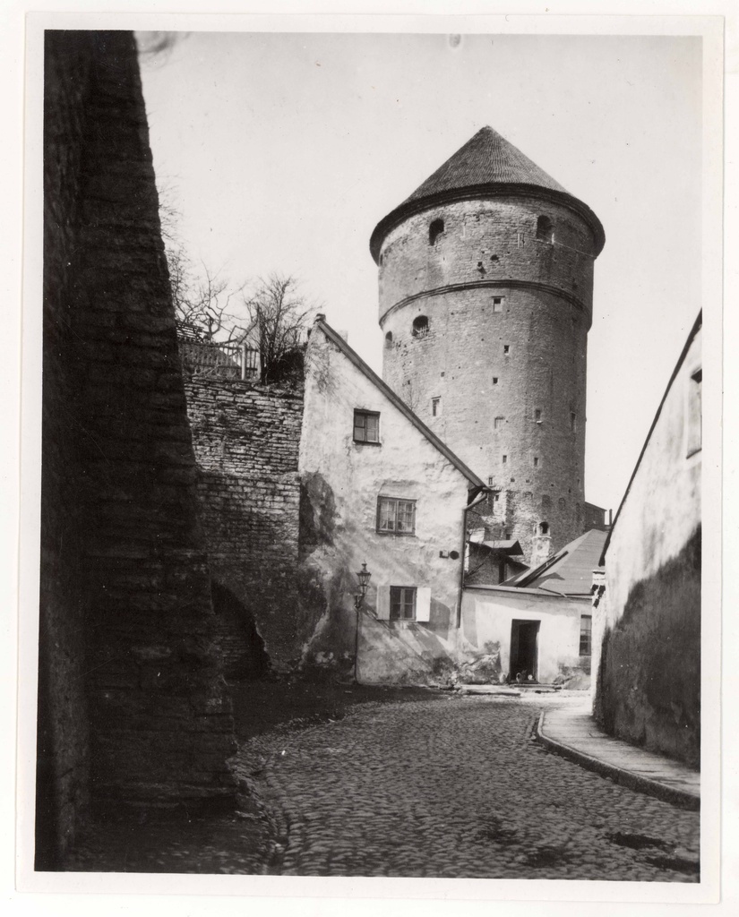 All-city. View Kiek in de Kök Tower from Rüütli Street