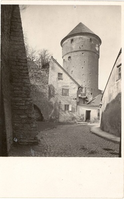 All-city. View Kiek in de Kök Tower from Rüütli Street  duplicate photo