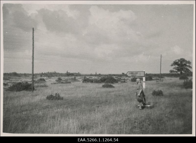 Linnulaht, viida juures N. Valgerist