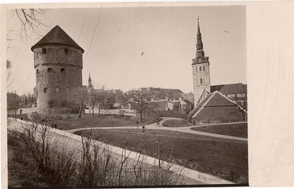 All-city. View Kiek in de Kök Tower and Niguliste Church from Harjumägi