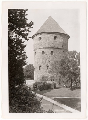 All-city. View Kiek in de Köki tower from SO  duplicate photo