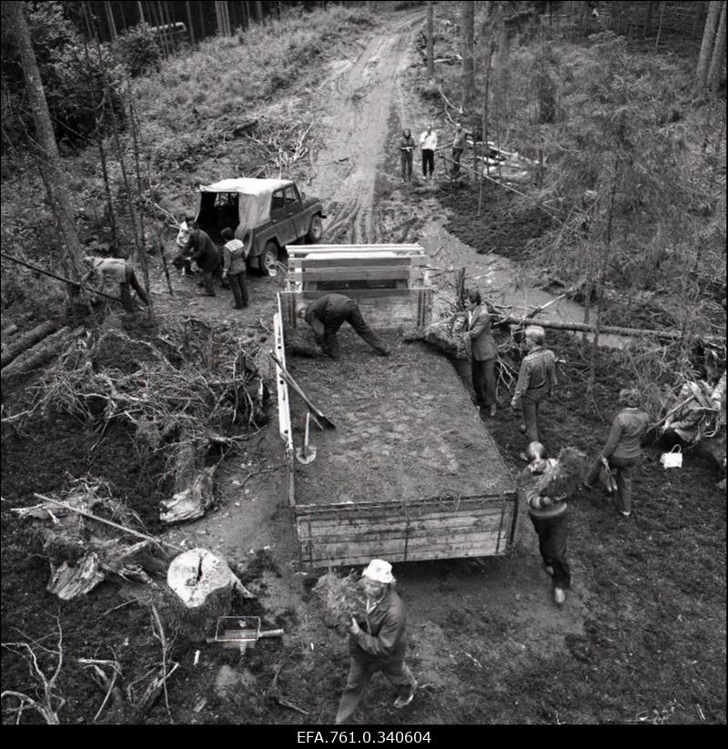Stuudio "Tallinnfilm" muusikaline lastefilm "Nukitsamees". Võttekoha ettevalmistamine.