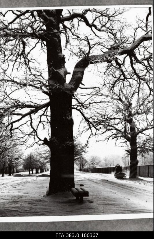 Vaade J. Gagarimi nim. Tänavale Rakveres.