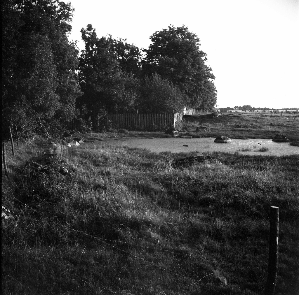 Ruins of Lihula Castle