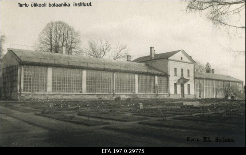 Tartu Ülikooli Botaanikainstituudi kasvuhoone.