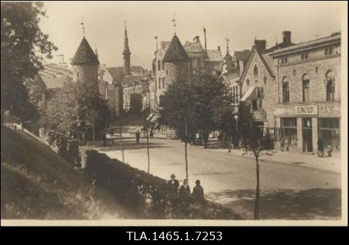 Viru tänav, Viru väravad.