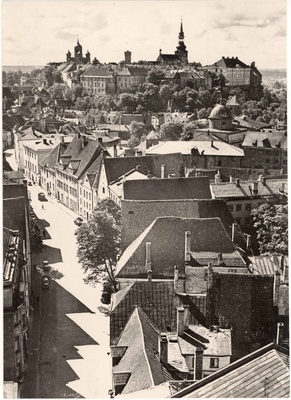 Toompea and All City. View on the wide street from the Olviste Church Tower. In the back of Toompea.  duplicate photo