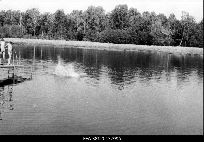 Vaade Narva jõele.