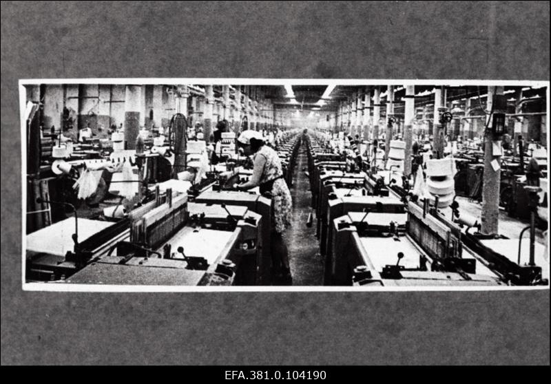 Pneumaatilised kudumismasinad puuvillakombinaadis "Kreenholmi Manufaktuur".