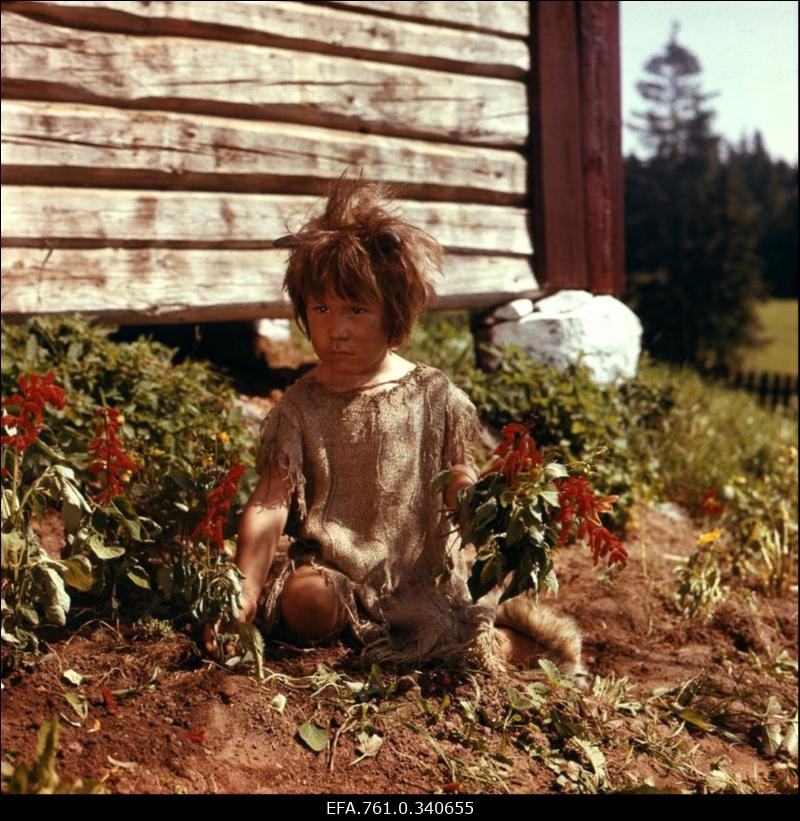 Stuudio "Tallinnfilm"  muusikaline lastefilm "Nukitsamees" filmivõtted. Egert Soll Nukitsamehe rollis.