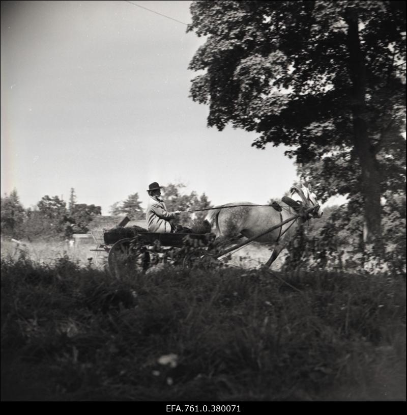 Stseen filmist "Metskannikesed". Tõnu rollis Arvo Kukumägi