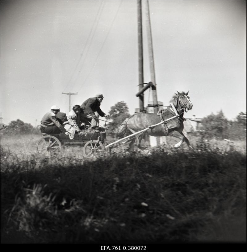 Stseen filmist "Metskannikesed"