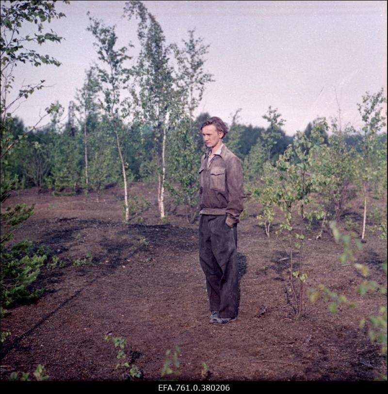 Stseen filmist "Metskannikesed". Tõnu rollis Arvo Kukumägi