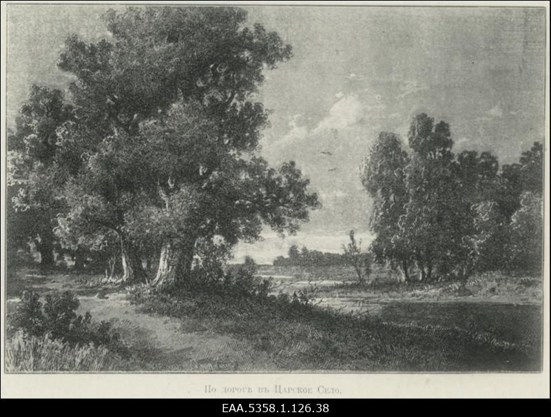 Fotokoopia Tsarskoje Selo gravüürist