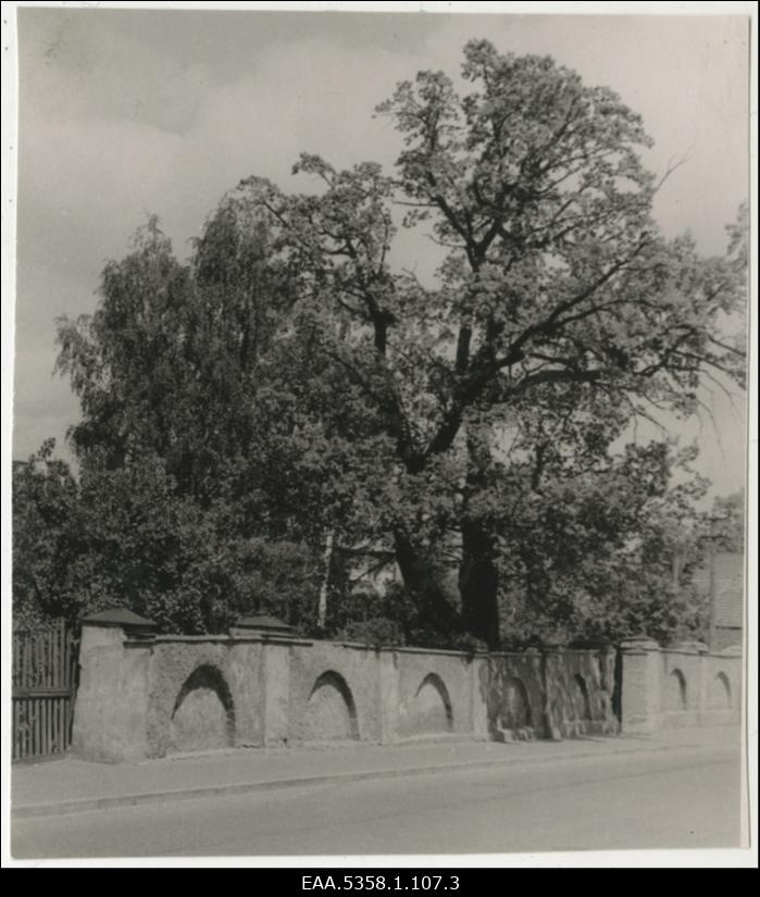 Vaade Tartu linnas