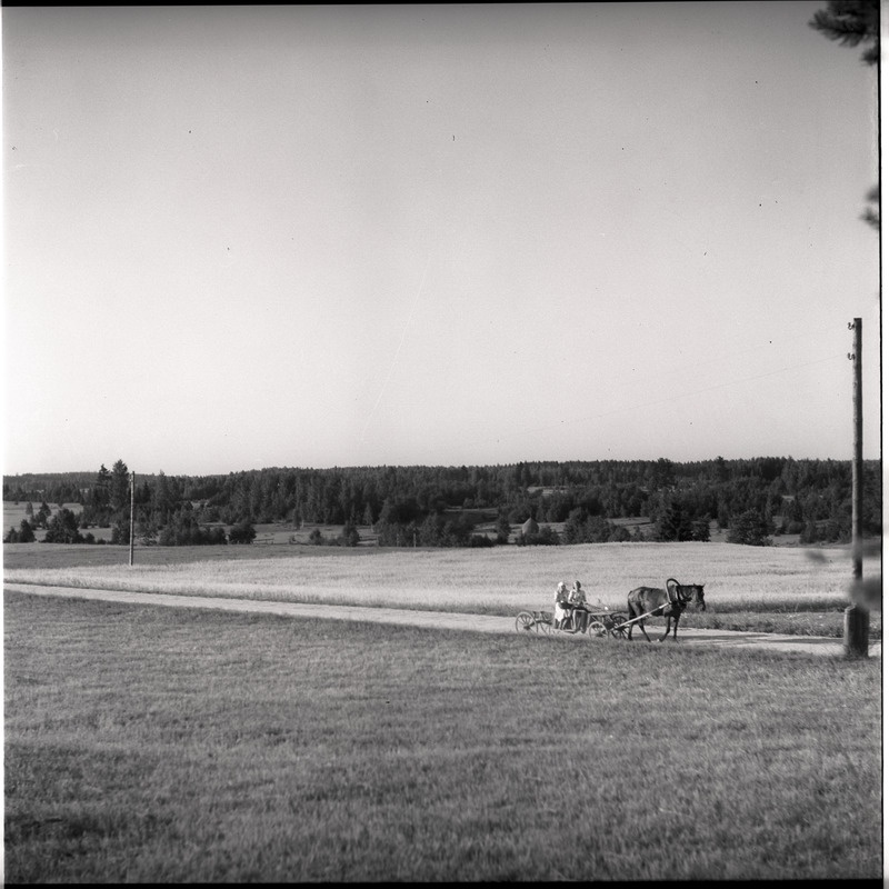 Maastik - hobuvanker teel