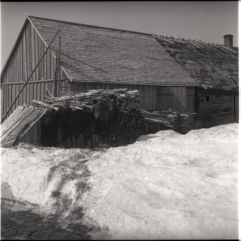 Talu - inimesed ja lehm taluhoone taustal, talvel
