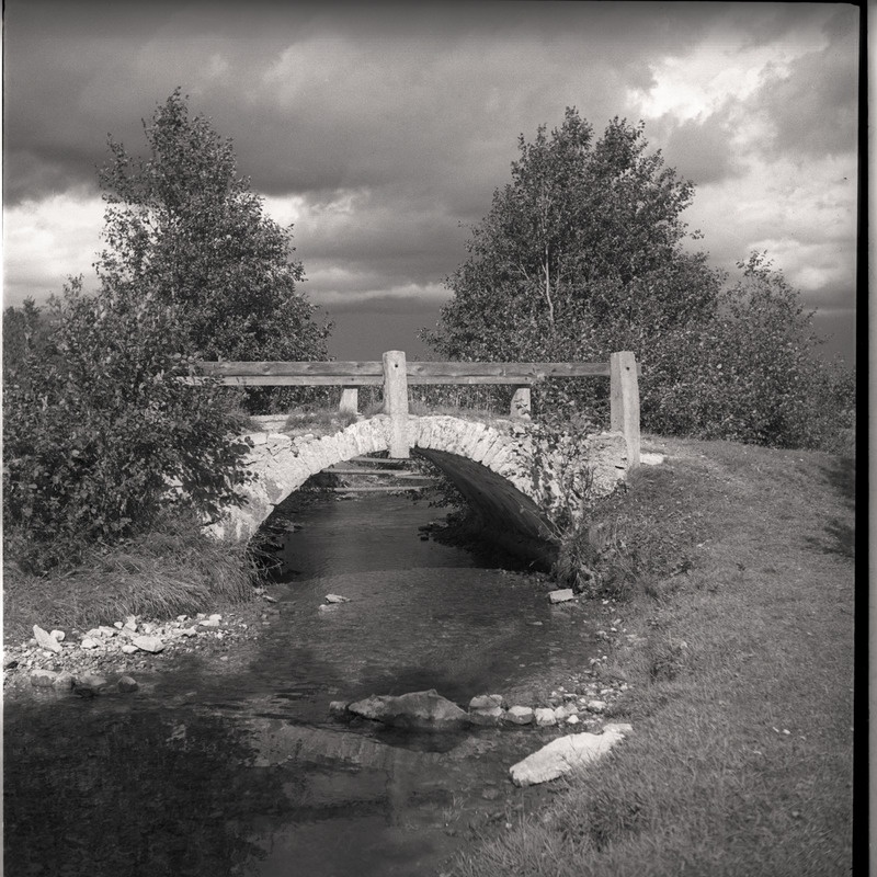 Valgejõgi ja sild, tagaplaanil puud