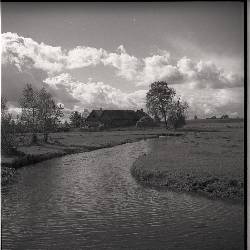 Maastik - Valgejõgi, taustal hooned