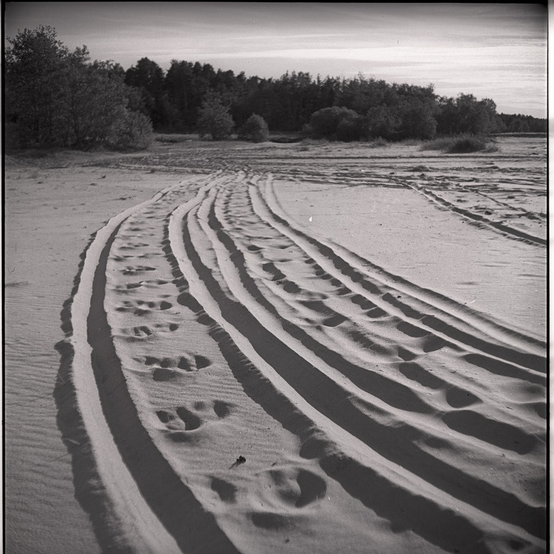 Talvine maastik, teerajad lumel