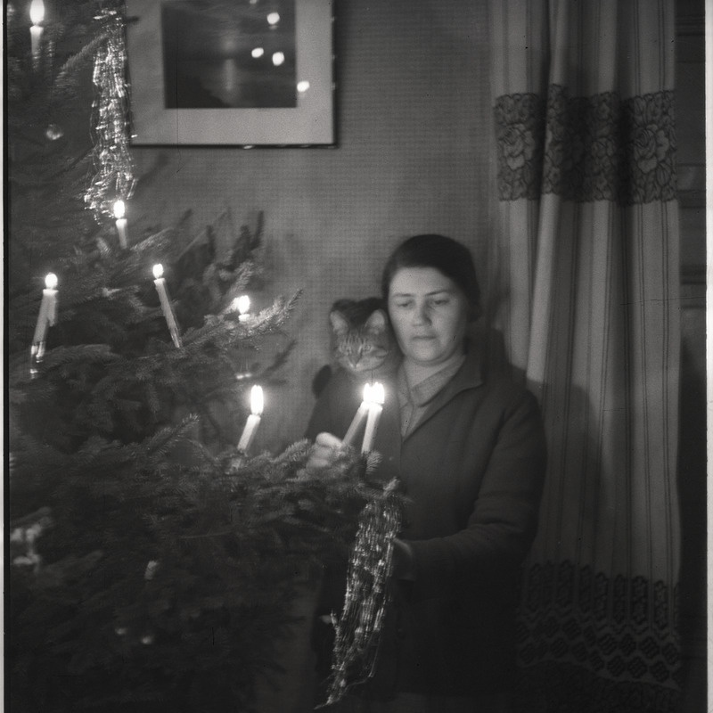 Johanna Triefeldt jõulukuuse juures, õlal kass