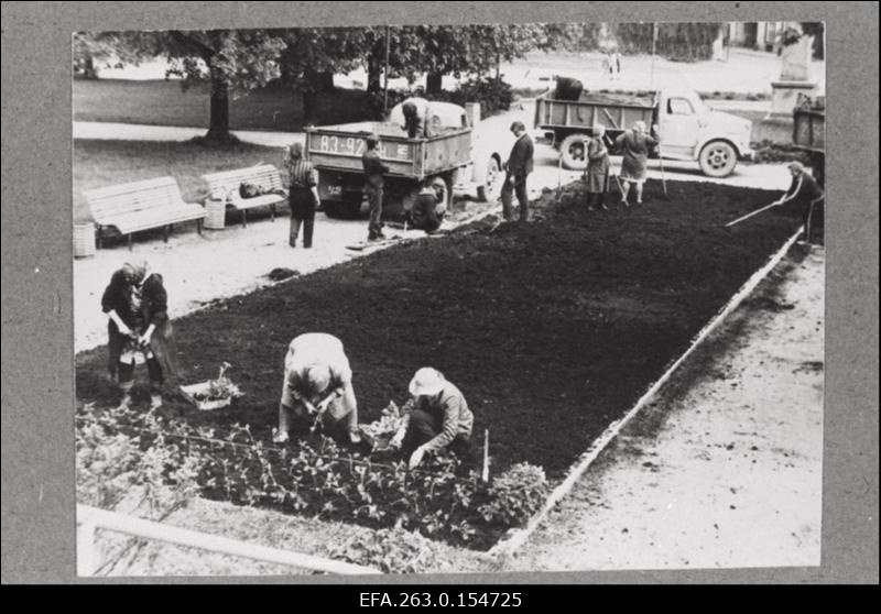 Tartu Linna Kommunaalettevõtete Kombinaadi haljastusmajandi töötajad istutavad lilli N. Pirogovi ausamba taha.