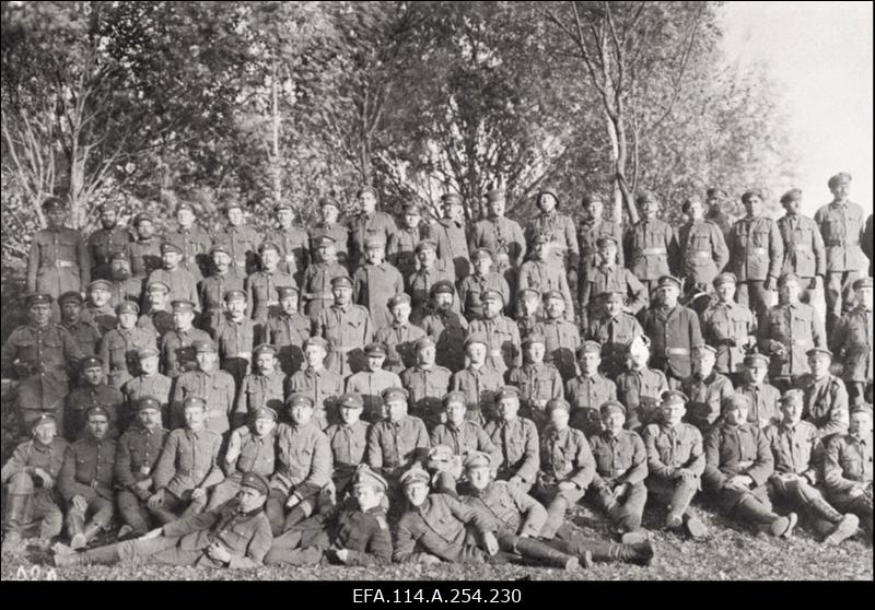 Vabadussõda. Õhu- ja merejõud, samuti soomustatud väeosad  lahingutegevuses. Välisriikide [Läti, USA, Soome, Inglismaa, Taani] laevad Tallinna sadamas. Soomusrongid nr. 1, nr. 5 ja nr. 4. Põhjapiirkonna Kommuunide Rahvakomissaride Nõukogu ja III Ülevenemaalise Tööliste Soldatite ja Talupoegade Saadikute Nõukogu fotod. Taani vabatahtlikud ja Soome ajakirjanikud Eestis. Välisriikide diplomaatide vastuvõtud 1920.a. alguses. Peeter I ausamba mahavõtmine.